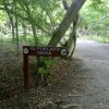 Отель Ecohotel Las Palmeras, фото 14