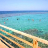 Отель Beachfront in 5 Star Hotel With Reef Hurghada, фото 25