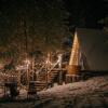 Гостиница Хвойная хижина, фото 1
