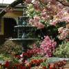 Отель Rosies Inn, фото 9