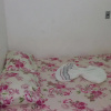 Отель Casas em Morro, фото 1