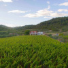 Отель Filip - Vineyard and Large Terrace - SA2 Rozi, фото 17