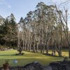 Отель Sonoma Coast Villa, фото 18