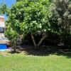 Отель House with exclusive pool and garden 7 min walk from the beach and the center, фото 9