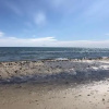 Отель Hotell Turistgården i Simrishamn AB, фото 23