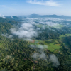 Отель Ambatty Greens Resort, фото 26