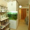 Гостиница Mini-hotel Stariy Gorod, фото 15