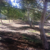 Отель William Creek Camp Ground & Units, фото 18