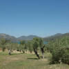 Отель Geras Olive Grove (Elaionas tis Geras), фото 15