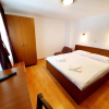 Отель Vila de vacanta Alma Azuga, фото 2