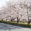 Отель Nishiizu Matsuzaki Itoen Hotel, фото 7