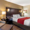 Отель Comfort Inn & Suites near Six Flags, фото 21