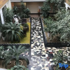 Отель Weihai Yangguang Hotel, фото 9