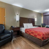 Отель Econo Lodge, фото 20
