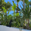 Отель Primus Otel, фото 24