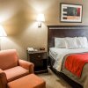 Отель Comfort Inn & Suites Marianna I-10, фото 43