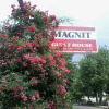 Отель Магнит, фото 6