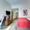 Отель Comfort Inn Moss Point - Pascagoula, фото 7