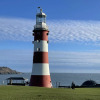 Отель Plymouth Hoe Lovely 2-bed Ground Floor Apartment, фото 20