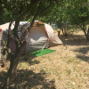 Отель Bodrum Masali Camping - Hostel, фото 15