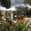 Отель B&B Delle Rondini, фото 26