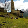 Отель Agri-b&b Lou Col, фото 20