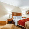 Отель Comfort Inn, фото 4