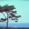 Отель Anmyeongdo Mediterranean Pension, фото 28