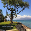 Отель Love & Discover the Place of Your Dreams in 305, фото 27