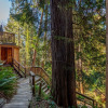 Отель The Tree House Cottage, фото 19