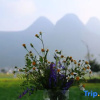 Отель Xingyi WanfengLin jielu Homestay, фото 9