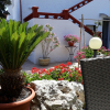 Отель B&B Villa Piana, фото 12