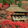 Отель HANABI Kyoto, фото 1