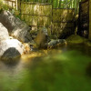 Отель Yugawara Onsen Seiranso, фото 27
