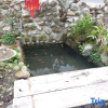 Отель Huangshan Emerald Valley Tingquan Xiaoyuan Homestay, фото 11
