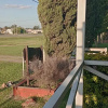 Отель Bungalows El Zarateno, фото 10