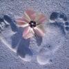 Отель Sunset Palms Rarotonga, фото 23