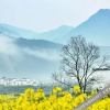 Отель Jiangling Guesthouse, фото 8