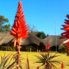 Отель African Flair Country Lodge, фото 1