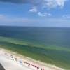 Отель The Oasis at Orange Beach by Hosteeva, фото 44