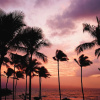 Отель Hostel City Maui 1, фото 24