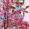 Отель Haoke Theme Hotel, фото 13