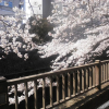 Отель Ito Onsen Otonashi no Moiri Ryokufuen, фото 16