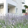 Отель Iris Apartments, фото 7
