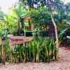 Отель El Jardin de Playa Negra, фото 10
