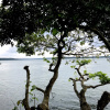 Отель Lake n River Resort  Munroe Island, фото 10
