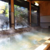 Отель Totsukawa Onsen Hotel Subaru, фото 9