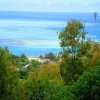 Отель Coralie La Diffe'rence Guest House, фото 12