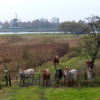 Отель t Geheim van de Molenaer, фото 13