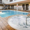 Отель Flamingo Hotel, фото 14